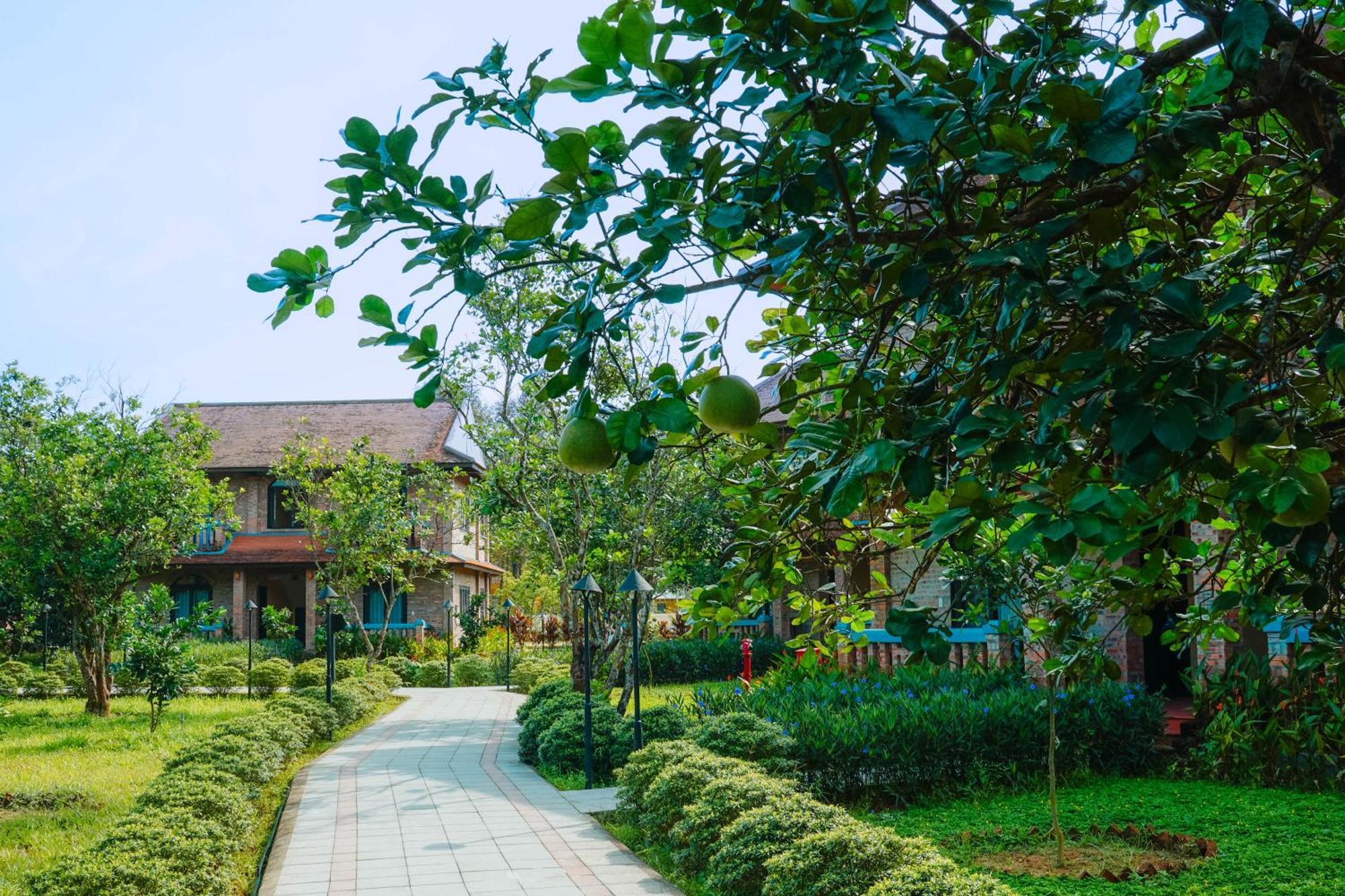 Hue Ecolodge エクステリア 写真